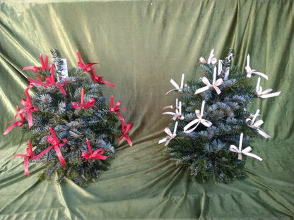 Adventkranz Weihnachten Blumen | Hallein