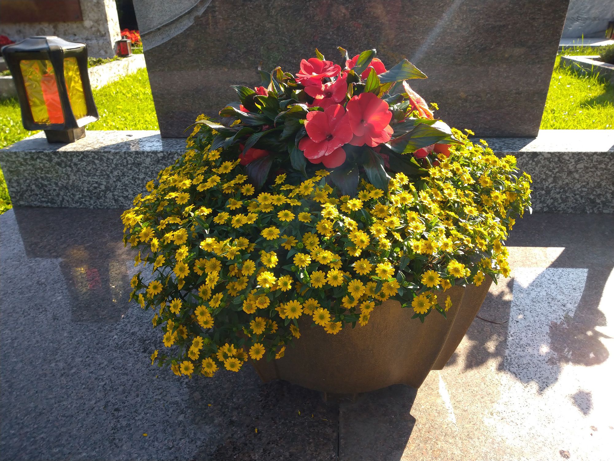 Grabbepflanzung | Hallein