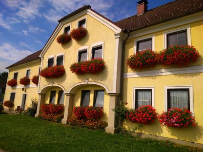 Beet- & Balkonpflanzen | Pleitner Hallein