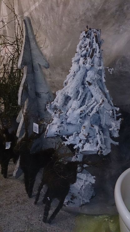 Adventkranz Weihnachten Blumen | Hallein