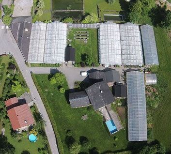 Gärtnerei Pleitner | Hallein