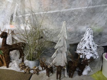 Adventkranz Weihnachten Blumen | Hallein