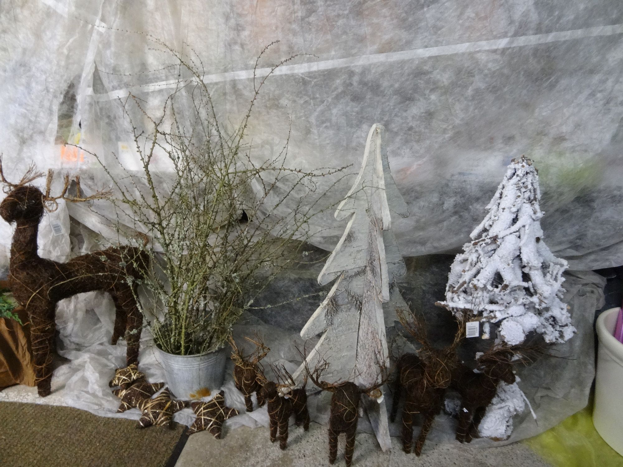 Adventkranz Weihnachten Blumen | Hallein