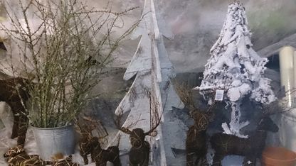 Adventkranz Weihnachten Blumen | Hallein