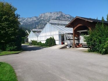 Gärtnerei Pleitner | Hallein