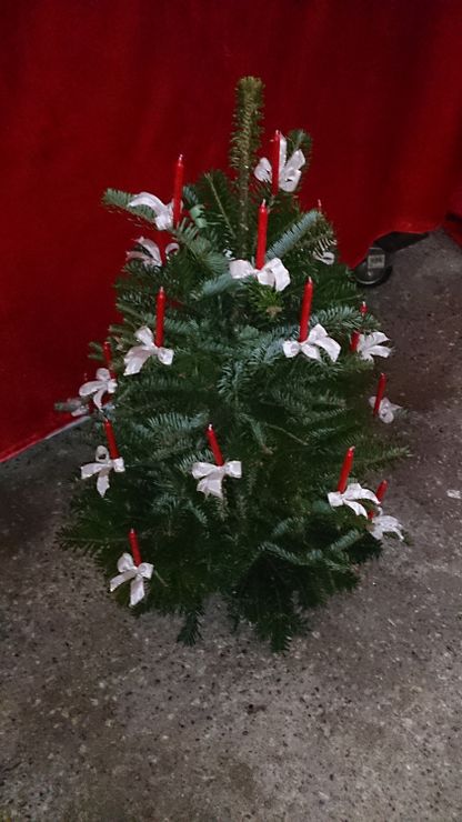 Adventkranz Weihnachten Blumen | Hallein