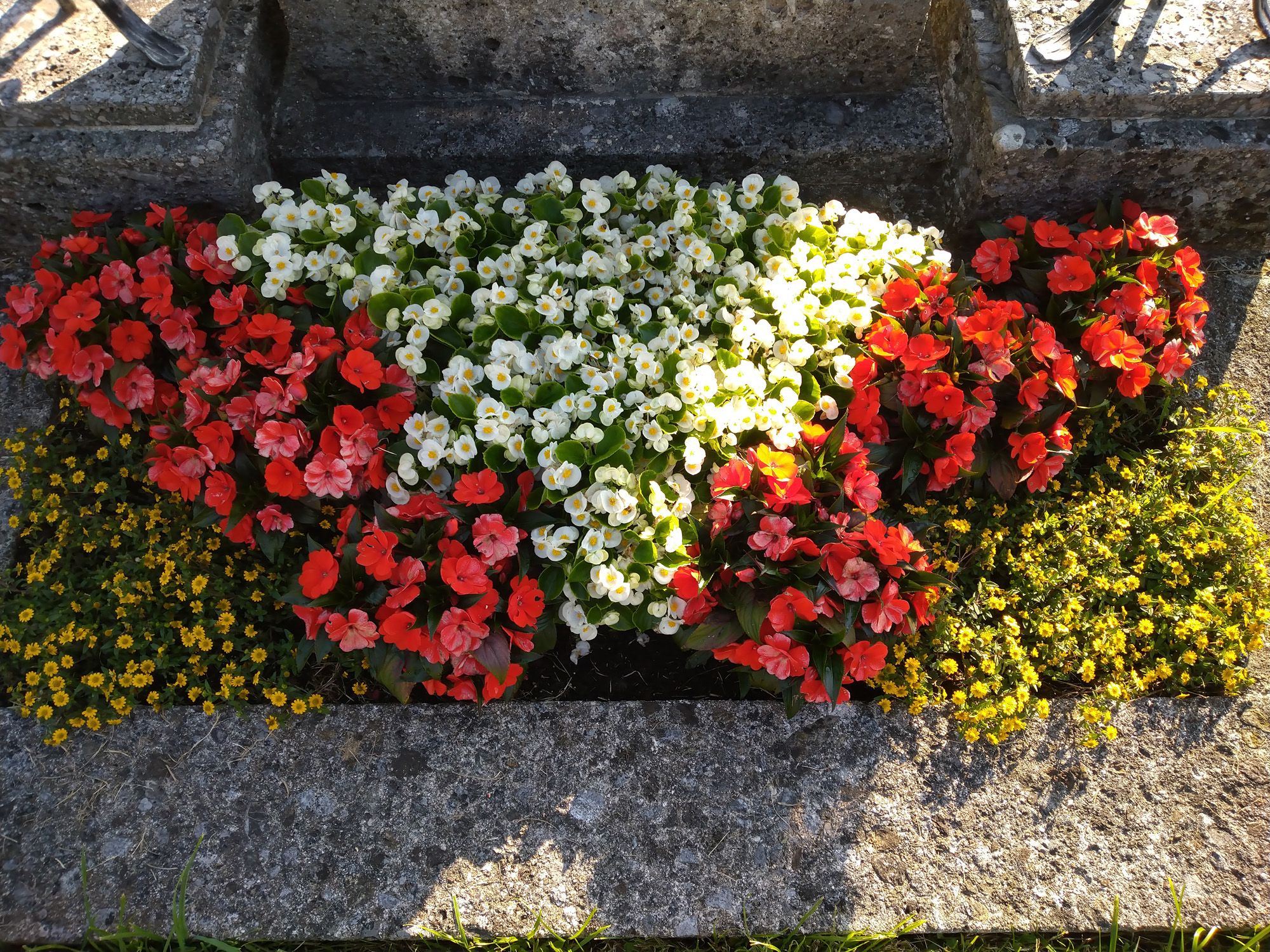 Grabbepflanzung | Hallein
